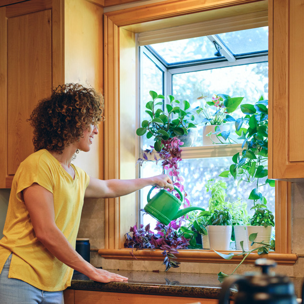 garden window in kitchen